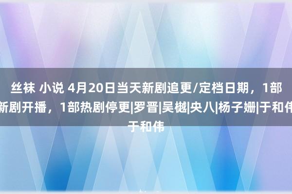丝袜 小说 4月20日当天新剧追更/定档日期，1部新剧开播，1部热剧停更|罗晋|吴樾|央八|杨子姗|于和伟