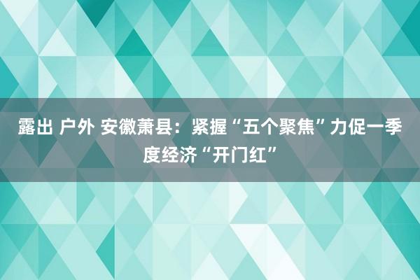 露出 户外 安徽萧县：紧握“五个聚焦”力促一季度经济“开门红”