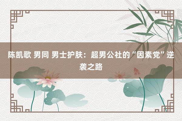 陈凯歌 男同 男士护肤：超男公社的“因素党”逆袭之路