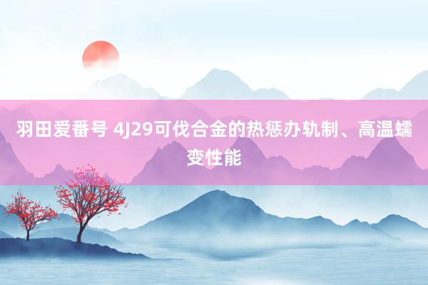 羽田爱番号 4J29可伐合金的热惩办轨制、高温蠕变性能