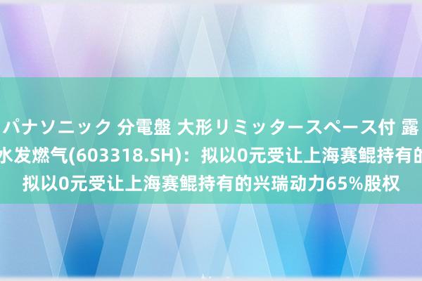パナソニック 分電盤 大形リミッタースペース付 露出・半埋込両用形 水发燃气(603318.SH)：拟以0元受让上海赛鲲持有的兴瑞动力65%股权