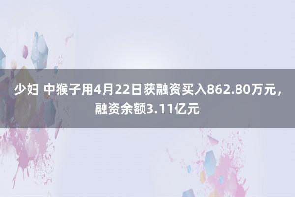 少妇 中猴子用4月22日获融资买入862.80万元，融资余额3.11亿元