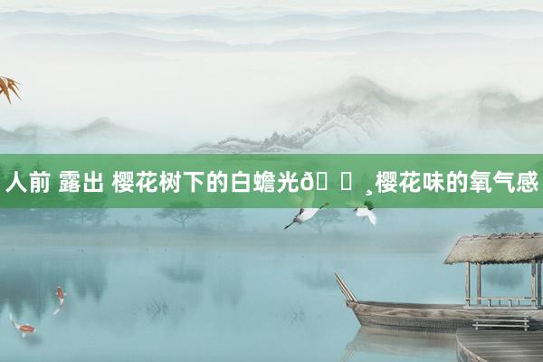 人前 露出 樱花树下的白蟾光🌸樱花味的氧气感