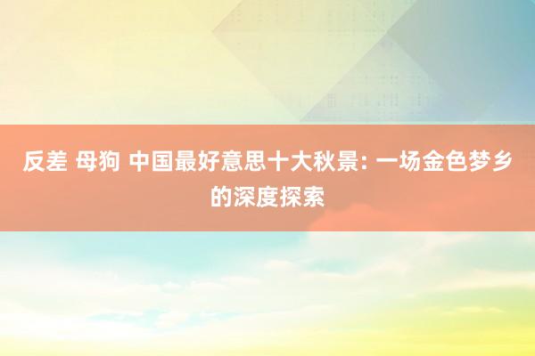 反差 母狗 中国最好意思十大秋景: 一场金色梦乡的深度探索