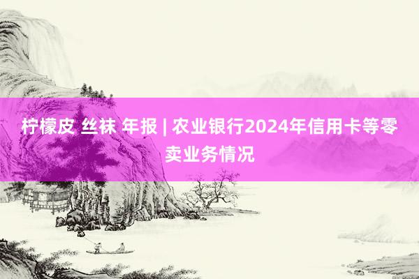 柠檬皮 丝袜 年报 | 农业银行2024年信用卡等零卖业务情况