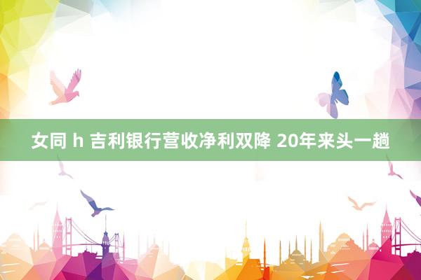 女同 h 吉利银行营收净利双降 20年来头一趟