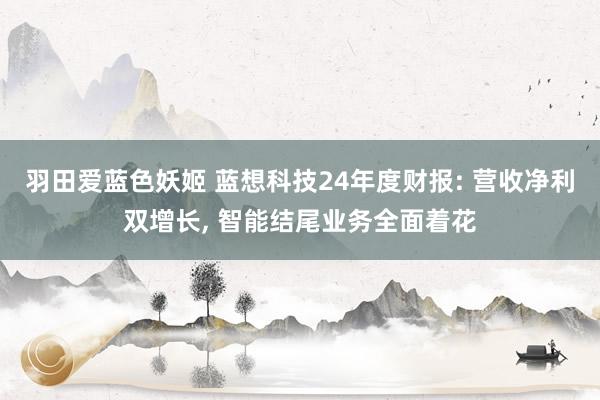 羽田爱蓝色妖姬 蓝想科技24年度财报: 营收净利双增长, 智能结尾业务全面着花