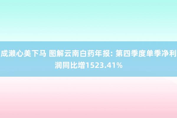 成濑心美下马 图解云南白药年报: 第四季度单季净利润同比增1523.41%