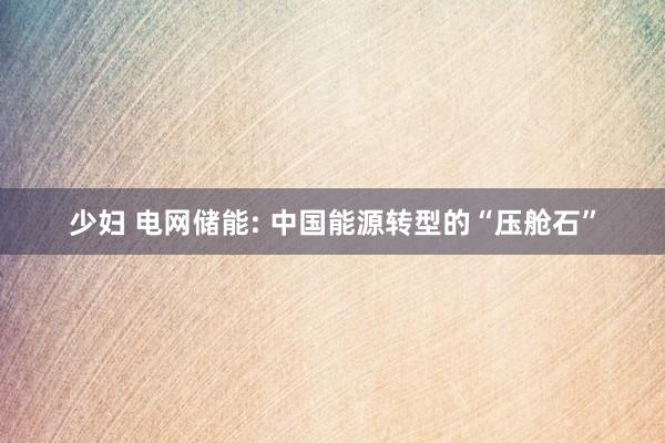 少妇 电网储能: 中国能源转型的“压舱石”