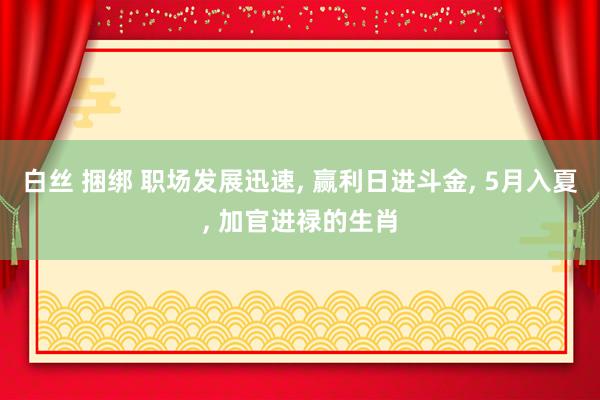 白丝 捆绑 职场发展迅速, 赢利日进斗金, 5月入夏, 加官进禄的生肖