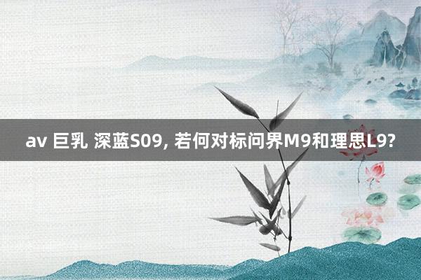 av 巨乳 深蓝S09, 若何对标问界M9和理思L9?