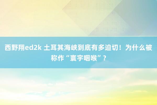 西野翔ed2k 土耳其海峡到底有多迫切！为什么被称作“寰宇咽喉”？