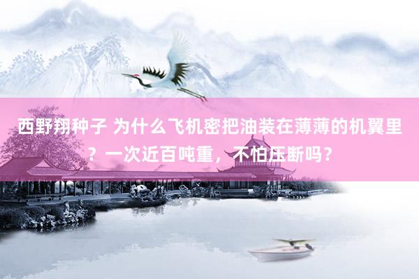西野翔种子 为什么飞机密把油装在薄薄的机翼里？一次近百吨重，不怕压断吗？