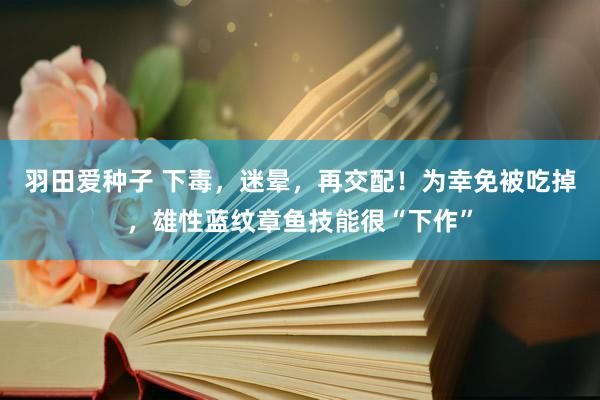 羽田爱种子 下毒，迷晕，再交配！为幸免被吃掉，雄性蓝纹章鱼技能很“下作”