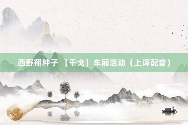西野翔种子 【干戈】车厢活动（上译配音）