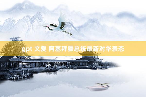 gpt 文爱 阿塞拜疆总统最新对华表态