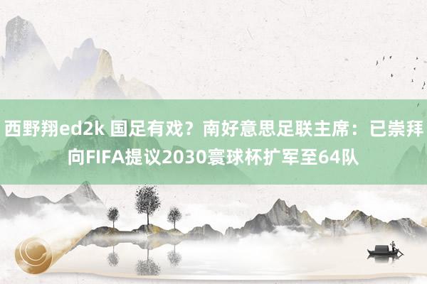 西野翔ed2k 国足有戏？南好意思足联主席：已崇拜向FIFA提议2030寰球杯扩军至64队
