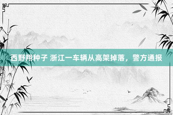 西野翔种子 浙江一车辆从高架掉落，警方通报