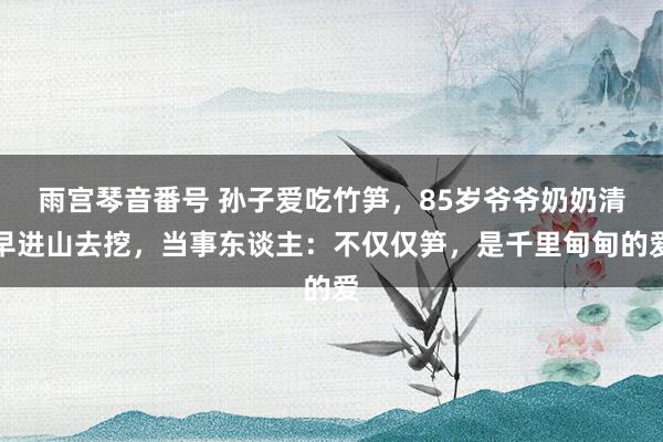 雨宫琴音番号 孙子爱吃竹笋，85岁爷爷奶奶清早进山去挖，当事东谈主：不仅仅笋，是千里甸甸的爱