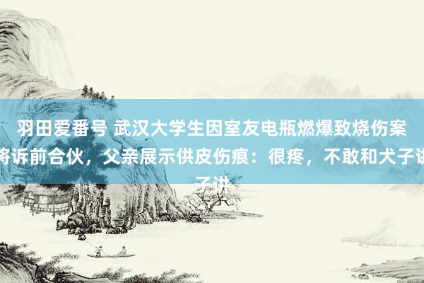 羽田爱番号 武汉大学生因室友电瓶燃爆致烧伤案将诉前合伙，父亲展示供皮伤痕：很疼，不敢和犬子讲
