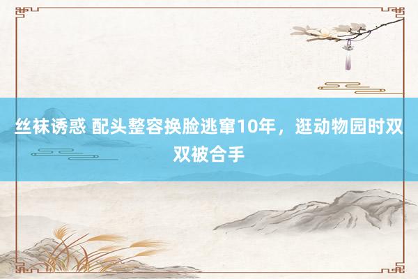 丝袜诱惑 配头整容换脸逃窜10年，逛动物园时双双被合手